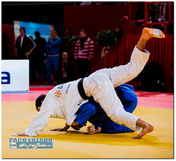 Paris 2014 by P.Lozano cat -66 kg (262)